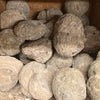 SOLID - Mexican Jumbo Nodule Rough