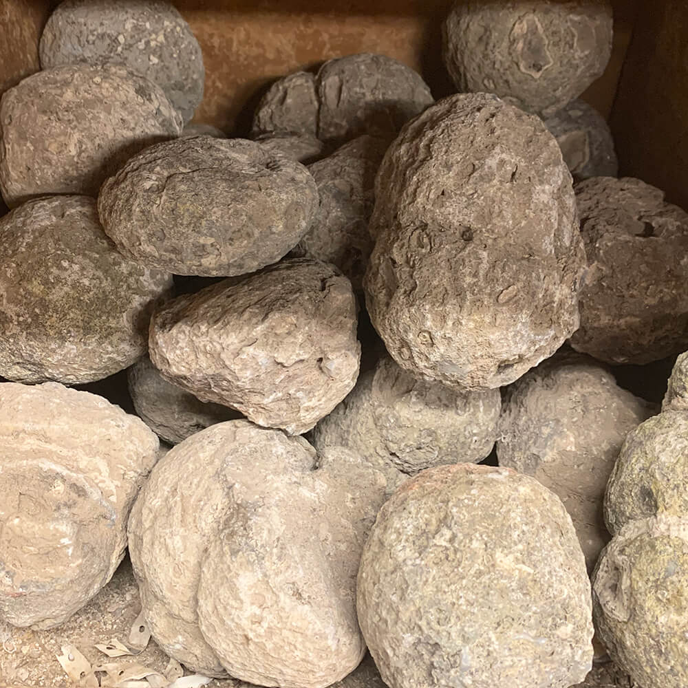 SOLID - Mexican Jumbo Nodule Rough