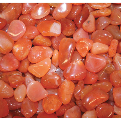 Carnielian Agate - POLISHED