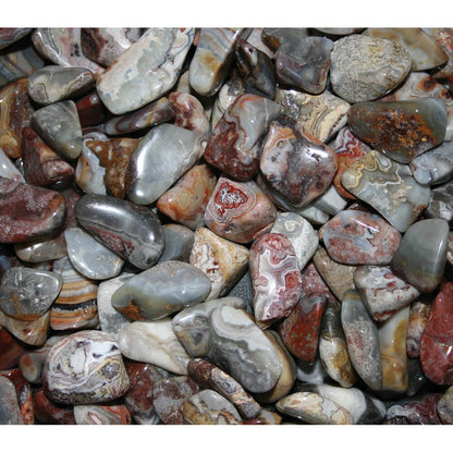Crazy Lace Agate - POLISHED