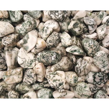 Tree Agate - POLISHED
