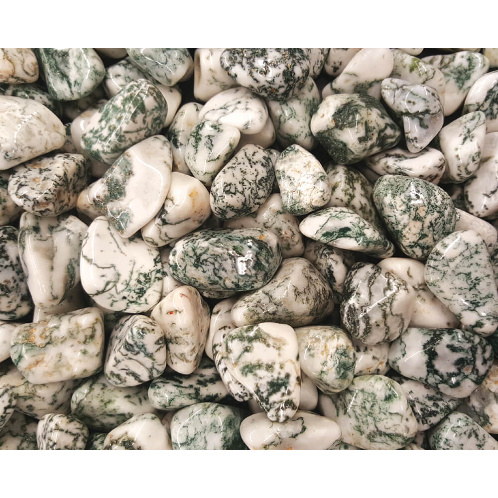 Tree Agate - POLISHED