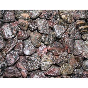 Leopard Skin Jasper - POLISHED