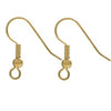 Fish Hook Earrings - Surgical