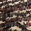 Tiger Eye-Red Chip Necklace