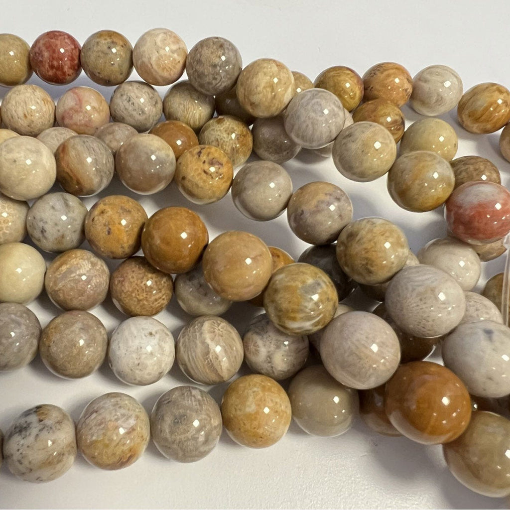 FOSSIL CORAL ROUND BEADS