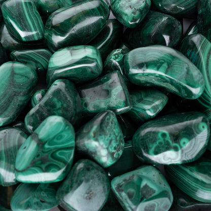 Malachite Tumbled - Large (7/8" - 1-1/4") - POLISHED