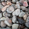 Botswana Agate - POLISHED