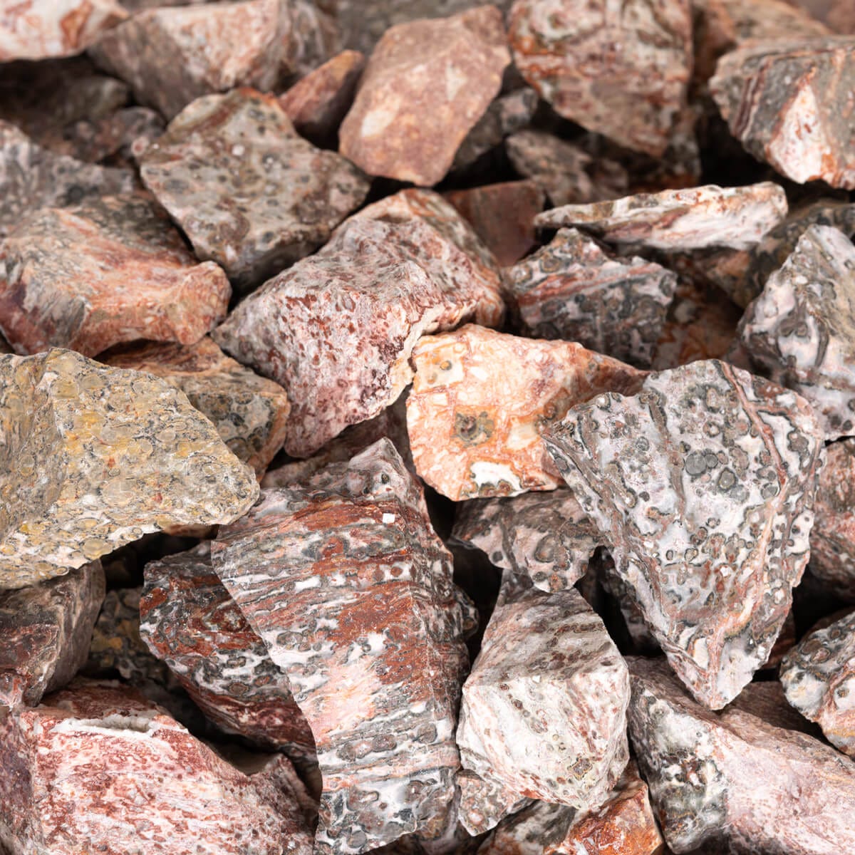 Leopard Skin Tumbling
