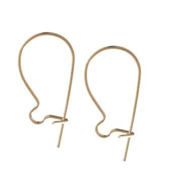 Kidney Earwires