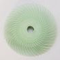 3M Radial Bristle Discs 1 micron, pkg 5