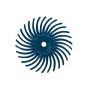 3m radial bristle discs 3/4", 400g (blue)