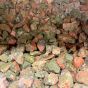 Unakite Tumble Rough