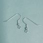 Fish Hook Earrings