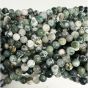 Tree Agate Beads