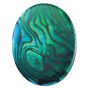 Paua-Shell Green