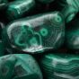 Malachite Tumbled - Large (7/8" - 1-1/4")