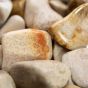 Agatized Coral Tumbled - Large (7/8" - 1-1/4")