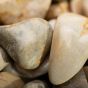 Agatized Coral Tumbled - Large (7/8" - 1-1/4")