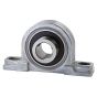 Lapidary Pillow Block Bearing