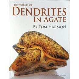 The World of Dendrites In Agates