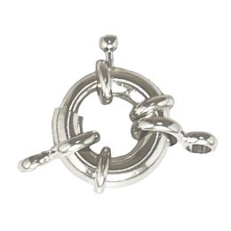 Connector -  Spring Clasp 18mm