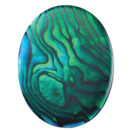 Paua-Shell Green
