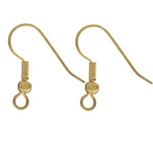 Fish Hook Earrings - Surgical