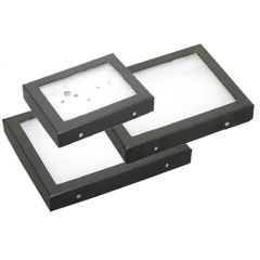 Universal Display Cases with Pins 3/4"