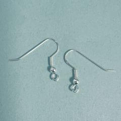 Fish Hook Earrings