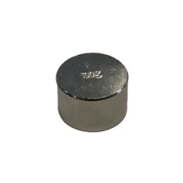 100 GRAM CALIBRATION WEIGHT