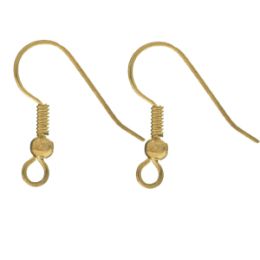 Fish Hook Earrings - Surgical