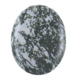 Tree Agate