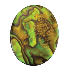 Paua-Shell Gold