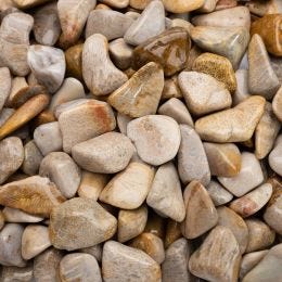Agatized Coral Tumbled - Large (7/8" - 1-1/4")