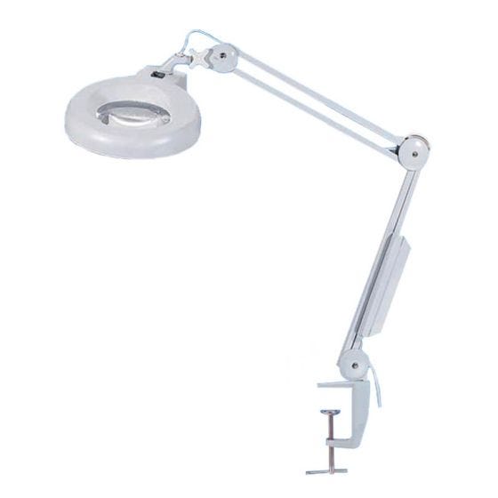 Inspection Lamp, 110 Volt