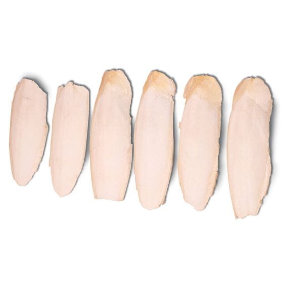 Cuttlefish Bone, Box of 6