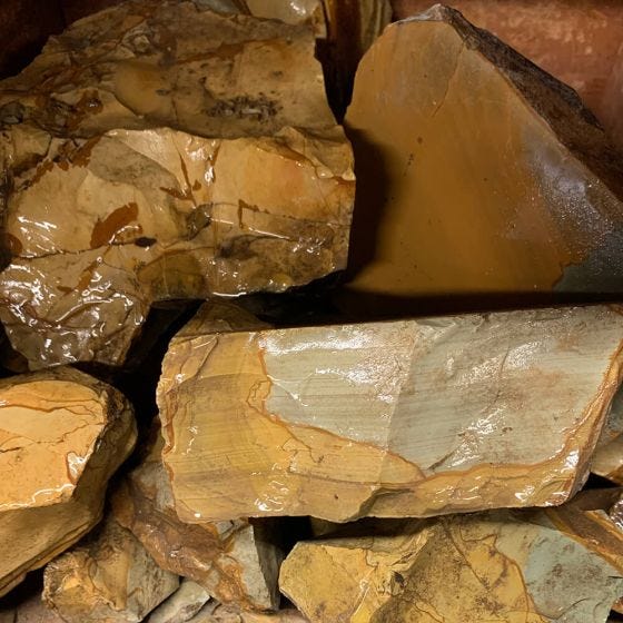 Wild Horse Picture Jasper Rough